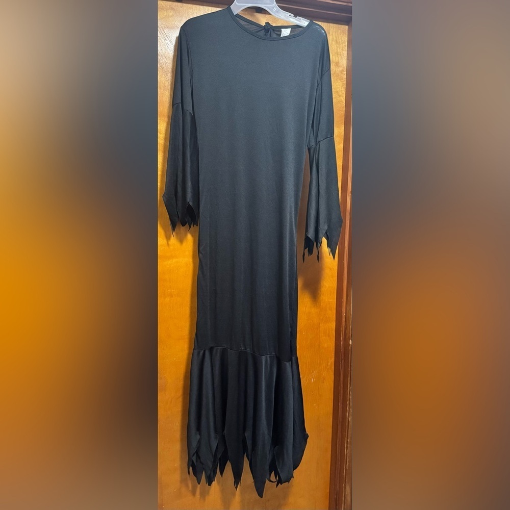 Black Vampire or Halloween Witch Costume
